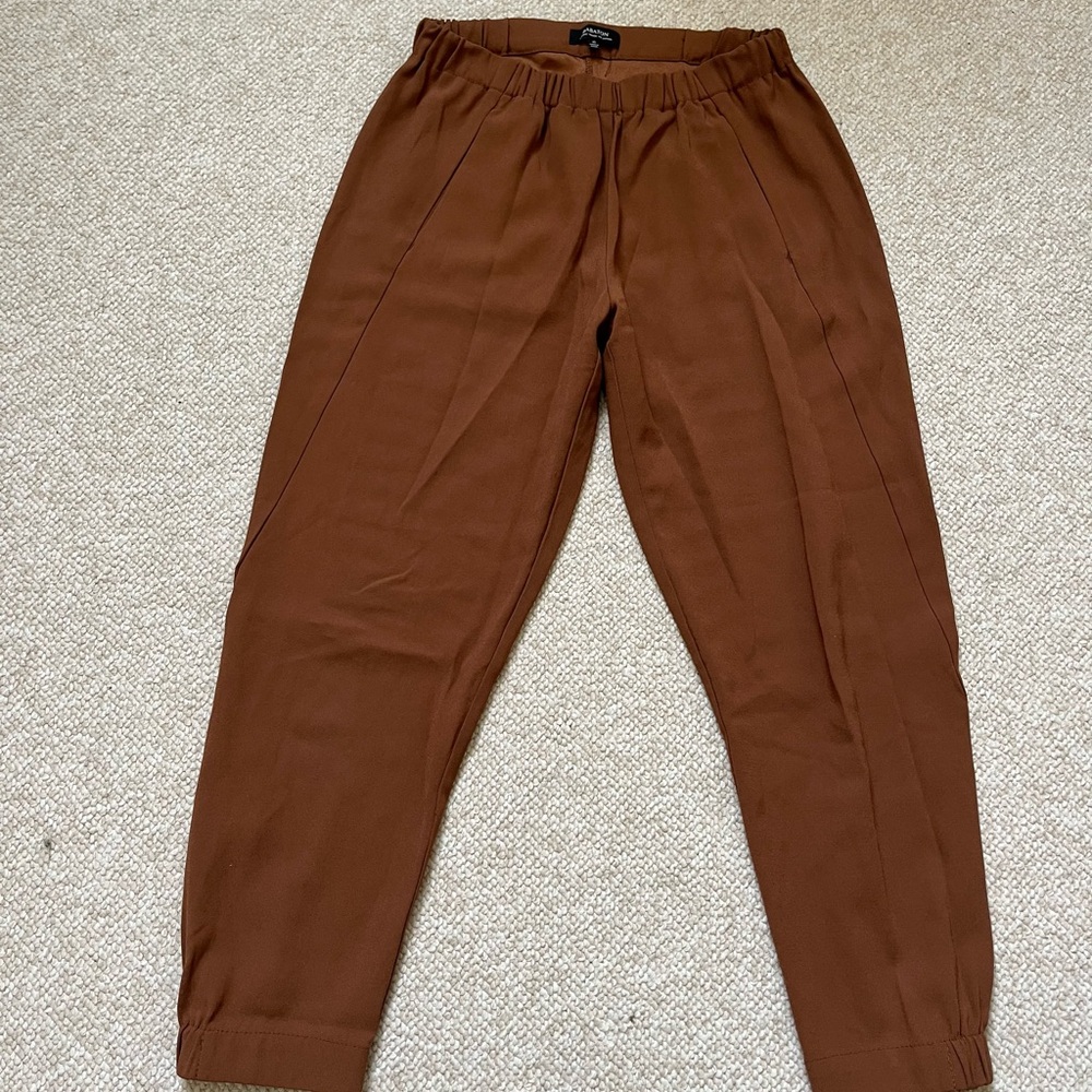 Aritzia dexter brown pants